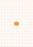 Lief geboortekaartje oranje ruitjes pompoenen Achterkant