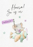 Lief kaartje met olifant in vliegtuig voor geboorte meisje 2