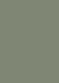 Minimalistische bedankkaart groen met olijftakje Achterkant