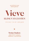 Modern fotokaartje geboorte met roze boogje koperfolie 3