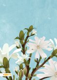 Moederdagkaart met magnoliabloemen 2