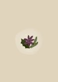 Nieuwjaarskaart christelijk vrede botanisch duif kaars Achterkant