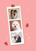 Nieuwjaarskaart geluk fotocollage lieveheersbeestjes sterren 2