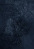 Nieuwjaarskaart met foto donkerblauw New Year in goudlook Achterkant