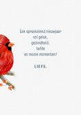Nieuwjaarskaart vogel rode kardinaal 3