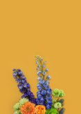 Prachtige bloemen verjaardagskaart  2