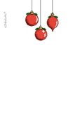 Rendier met 4 kerstballen en 4 foto's 2
