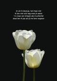 Rouwkaart twee zacht witte tulpen 2