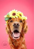 Roze verjaardagskaart van hond met bloemenkrans 2