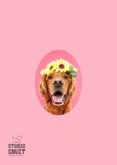 Roze verjaardagskaart van hond met bloemenkrans 2