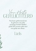 Schattige felicitatiekaart geboorte tweeling met zeepaardjes 3