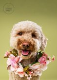 Schattige moederdagkaart van doodle met bloemenkrans 2