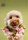 Schattige moederdagkaart van doodle met bloemenkrans 2