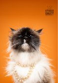 Schattige verjaardagskaart van kat met parelketting 2