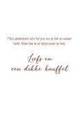 Sterkte gesso vlinder 3