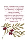 Sterkte kaart met olijven en bijbeltekst uit Habakuk 3 2