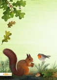 Sterktekaart met dieren en paddestoelen in het bos 2