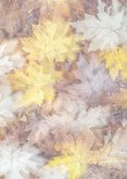 Sterktekaart met gekleurde herfstbladeren 2