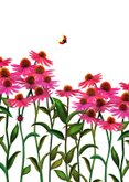 Sterktekaart met roze bloemen 2