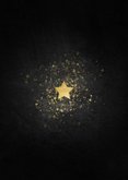 Stijlvolle nieuwjaarskaart gouden ster met foto Achterkant