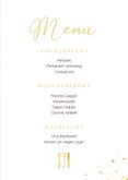 Stijlvolle oud roze 21 diner menukaart met gouden spetters 3