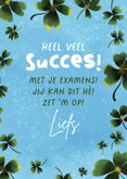 Succeskaart voor examen met klavertjes vier 3
