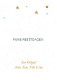 Trendy kerstkaart 2027 takjes groen 3