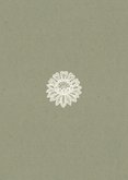Trouwkaart pas getrouwd vintage kant kraft foto groen hartje Achterkant