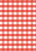Uitnodiging barbecue rode ruitjes en tekstkader Achterkant