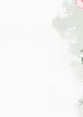 Uitnodiging met klokwinde en eucalyptus Achterkant