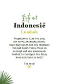 Vakantiekaart liefs uit Indonesië lombok foto's palmbladeren 3