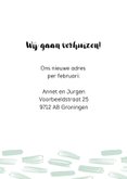 Verhuisbericht verf en huisjes  3