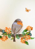 Verjaardag roodborst met voorjaarsbloesem 2