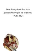 Verjaardagskaart geschilderde tulpen 2