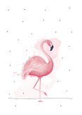 Verjaardagskaart happy bird-day met roze flamingo  2