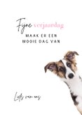 Verjaardagskaart - Hey jij daar gefeliciteerd - hond 3