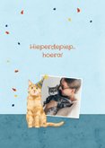 Verjaardagskaart met katten en cadeautjes 2