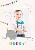 Verjaardagskaart olifant hoera feest jongen meisje 2