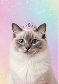 Verjaardagskaart poes met glitters met tiara 2