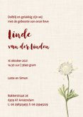 Vintage geboortekaartje voor een meisje met anemonen 3
