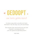 Vrolijke felicitatiekaart doop meisje met gelukspoppetje 3