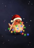 Vrolijke kerst verjaardagskaart roodborstje met lampjes 2
