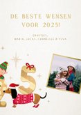 Vrolijke moderne 2025 nieuwjaarskaart met lieve diertjes 3