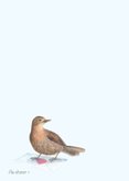 Wenskaart liefs vogels bij de brievenbus 2