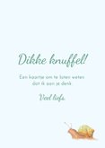 Wenskaart liefs vogels bij de brievenbus 3
