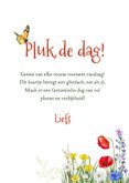 Wenskaart schotse hooglander met veldbloemen 3