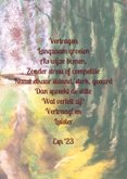 Wenskaart van een beukenlaan met gedicht over vertragen 3