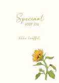 Wenskaart zonnebloem met lieveheersbeestje 3