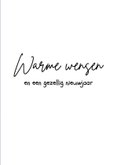 Winterkaart met muis op schaatsen en cadeau 3