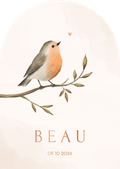 Card thumbnail